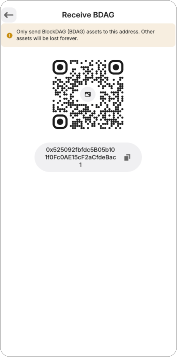 Step 8 - Receive BDAG